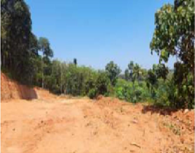 Titus George II, Thodupuzha, Kerala (Archived)